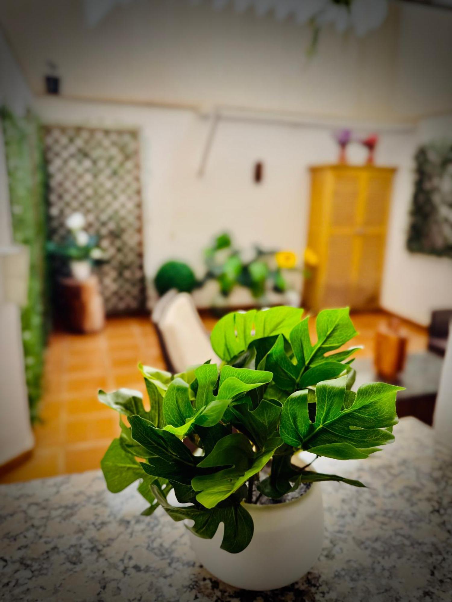 Centrico Apartamento Con Parking Granada Ngoại thất bức ảnh